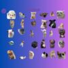 Transparent Meme Bundle