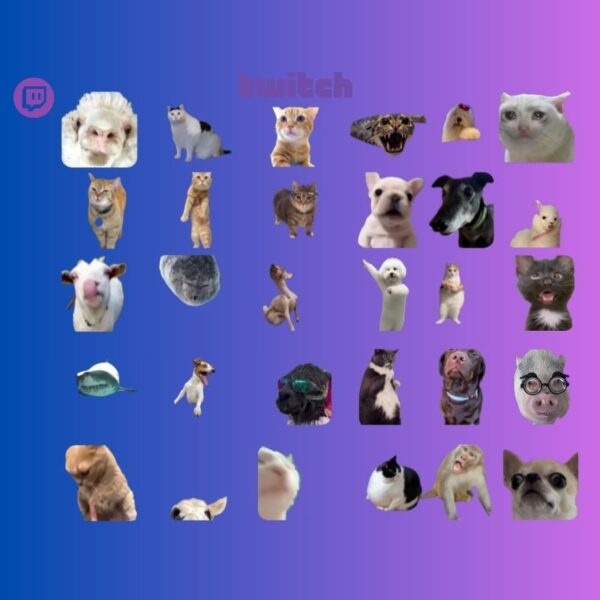 Transparent Meme Bundle